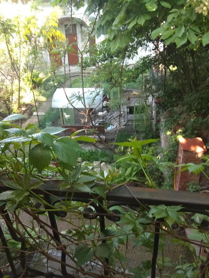 Mangal And Terrace In Center Apartment Lviv Exterior foto